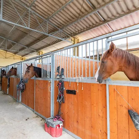 Pergola * Monte Santa Maria Tiberina