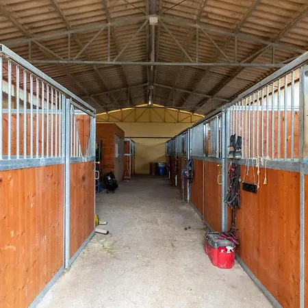Pergola * Monte Santa Maria Tiberina