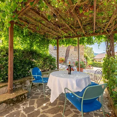 Pergola * Monte Santa Maria Tiberina