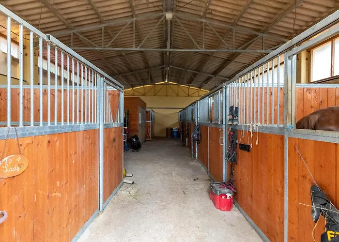Pergola * Monte Santa Maria Tiberina